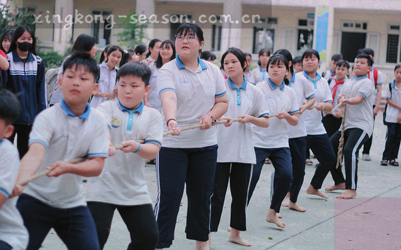球员数据刷新过程的可视化流程图